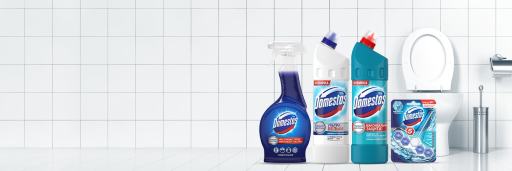 4 изделия Domestos перед туалетом