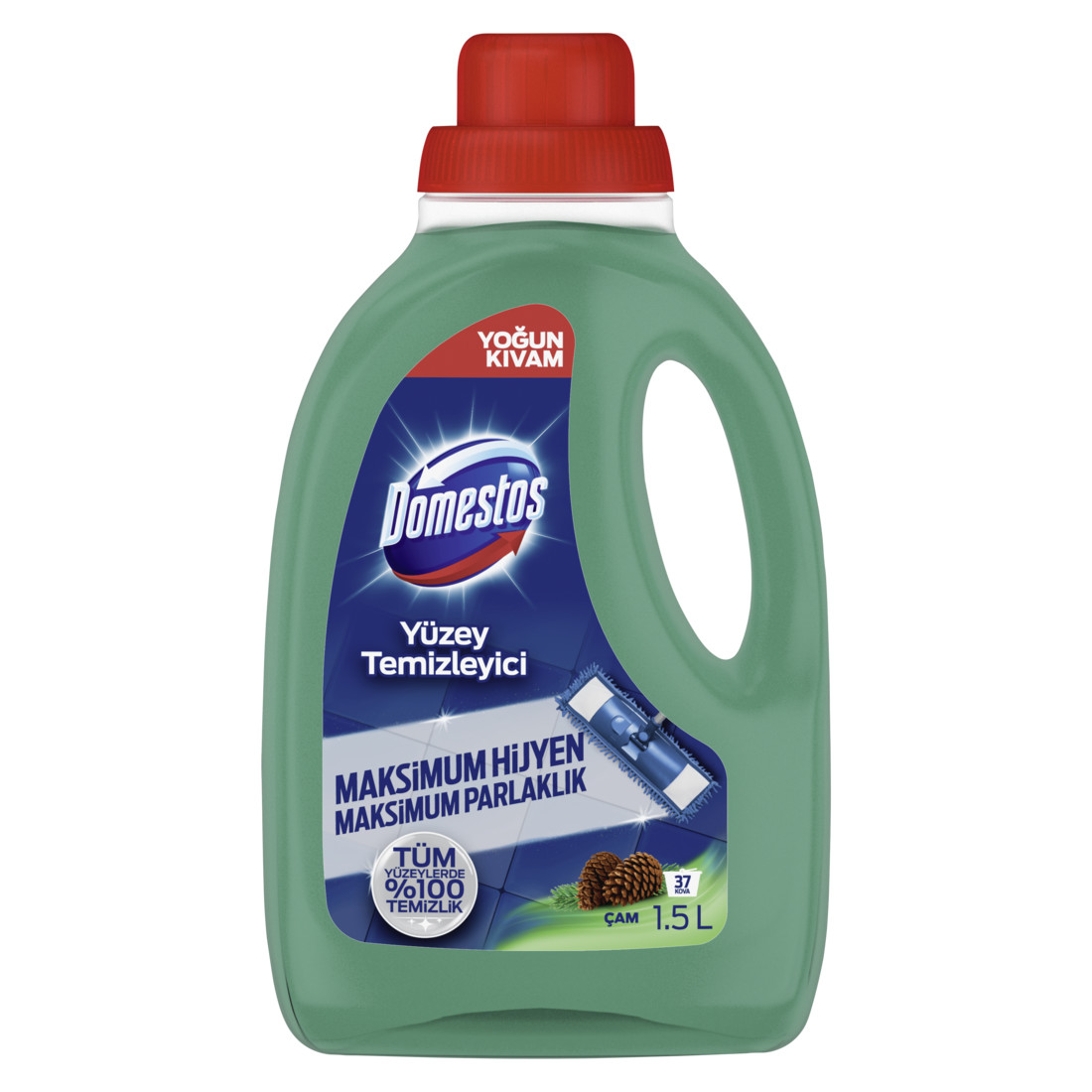 Domestos Waterrface Pine