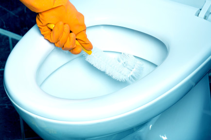 Limescale in your toilet