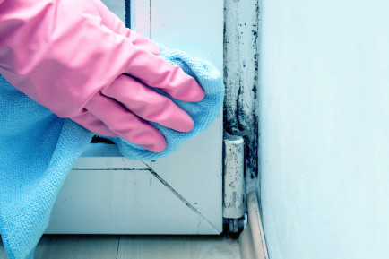 Mould in home