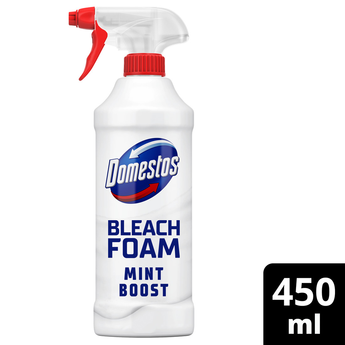 Mint Foam 450ml KV