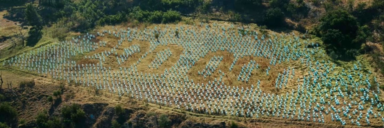 Toalety na polu (Domestos pomógł zbudować 200 000)