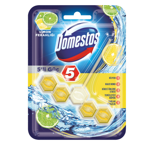 5'li Güç Tuvalet Bloğu Limon Ferahlığı